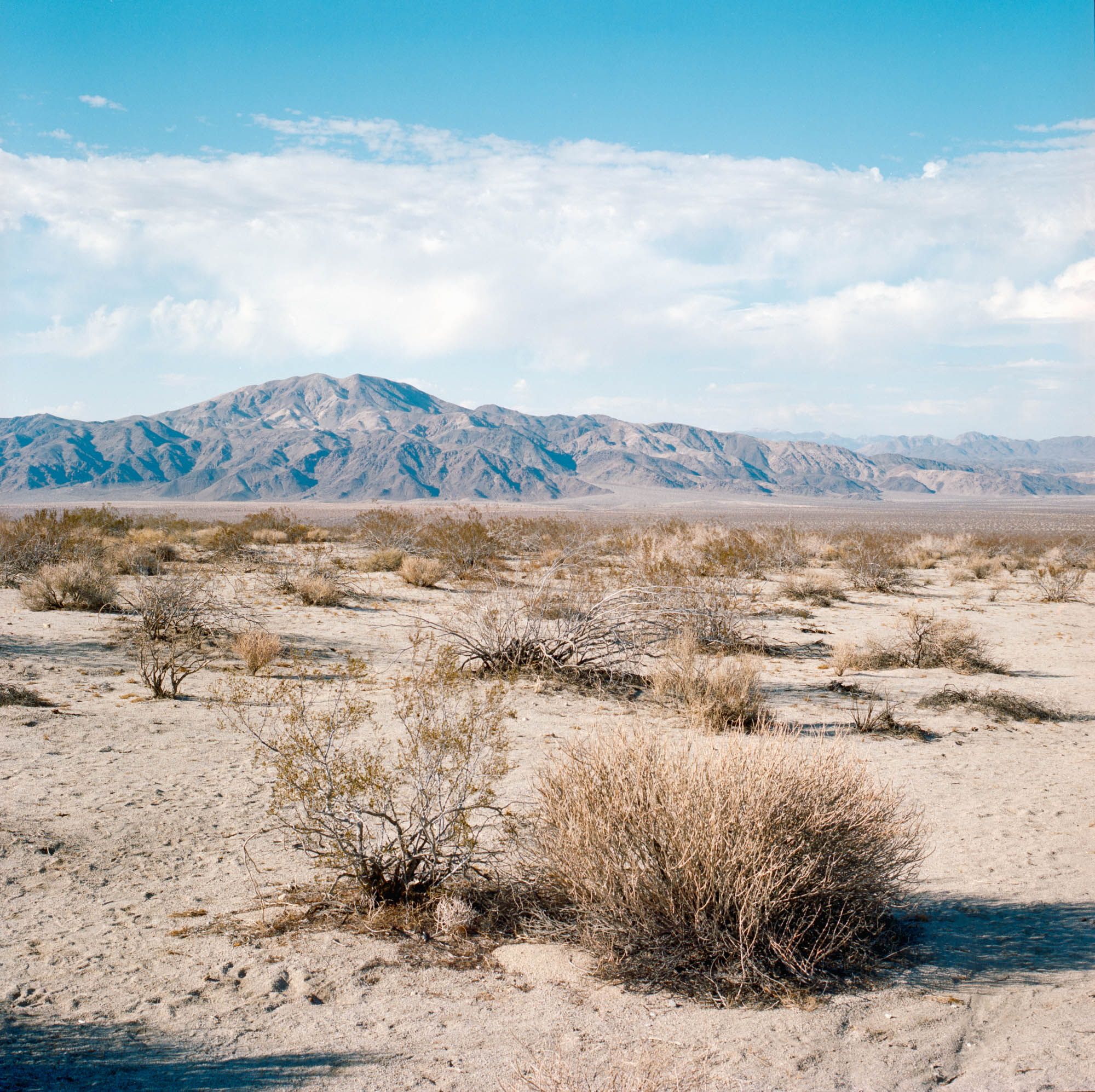 Late night film scans from the desert