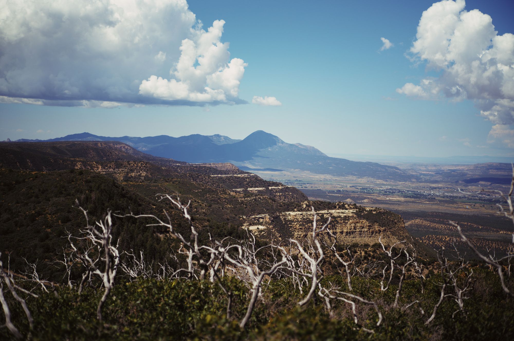 Mesa Verde