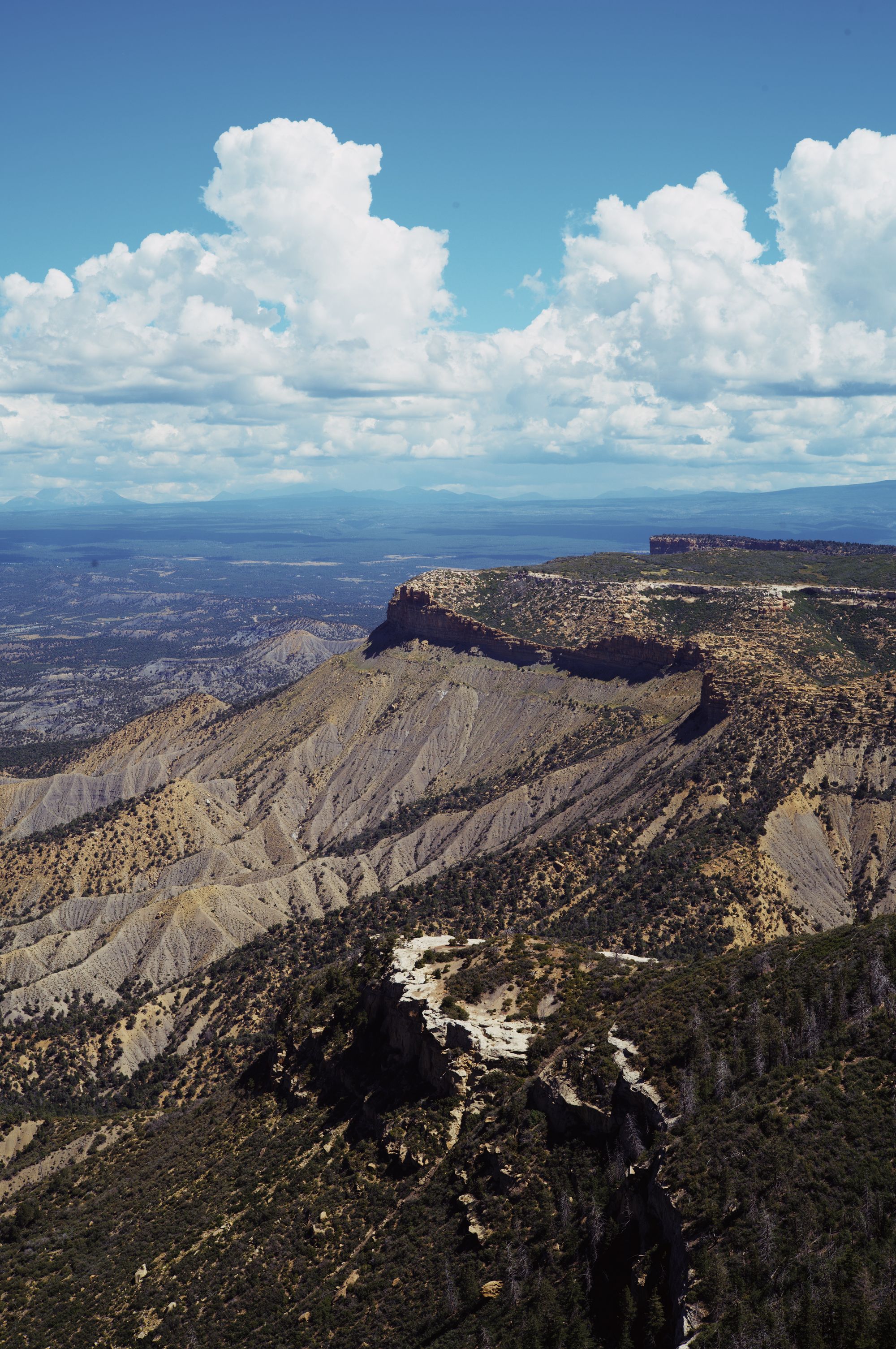 Mesa Verde