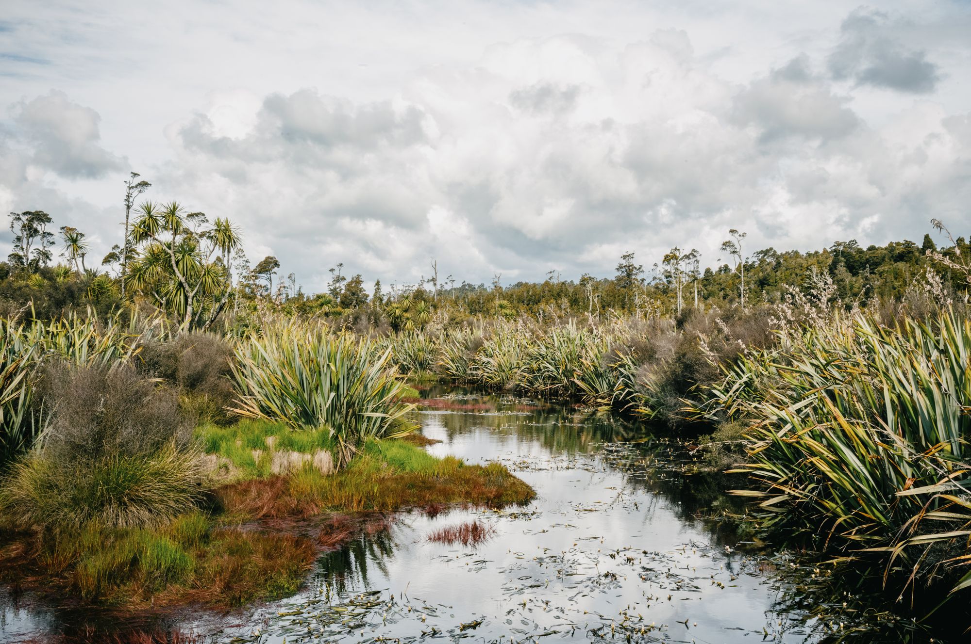 On the West Coast Wilderness Trail