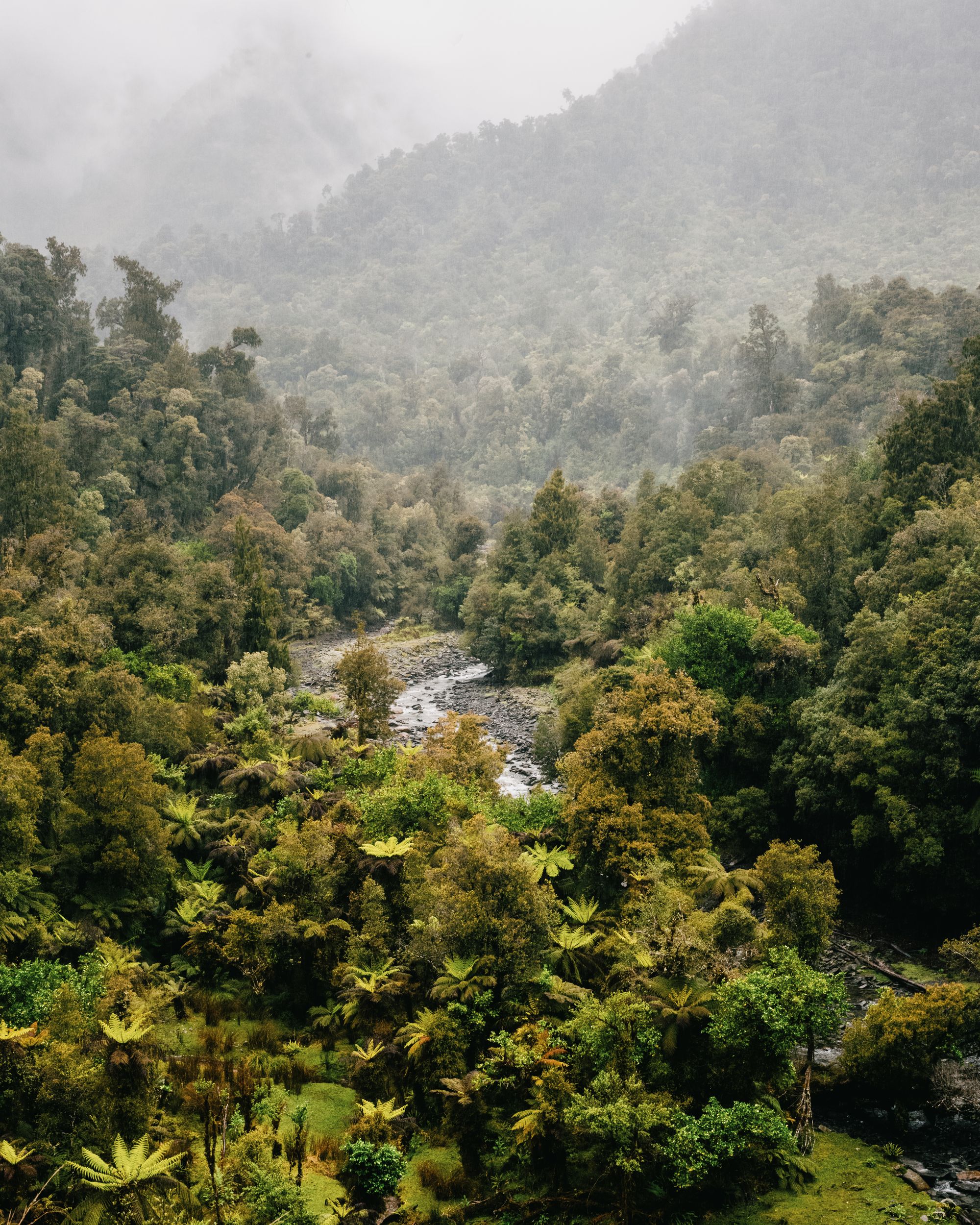 On the West Coast Wilderness Trail