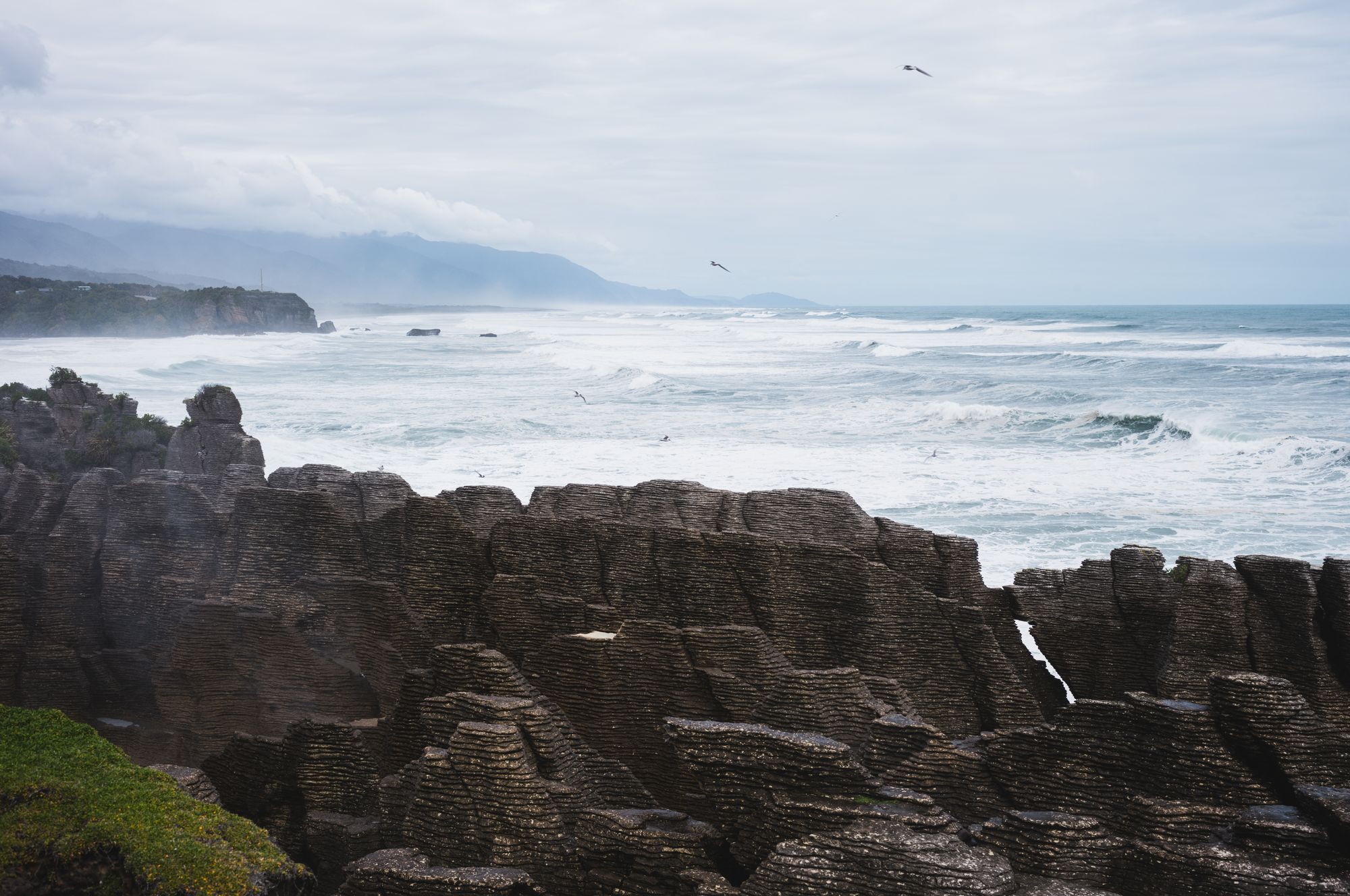 On the West Coast Wilderness Trail