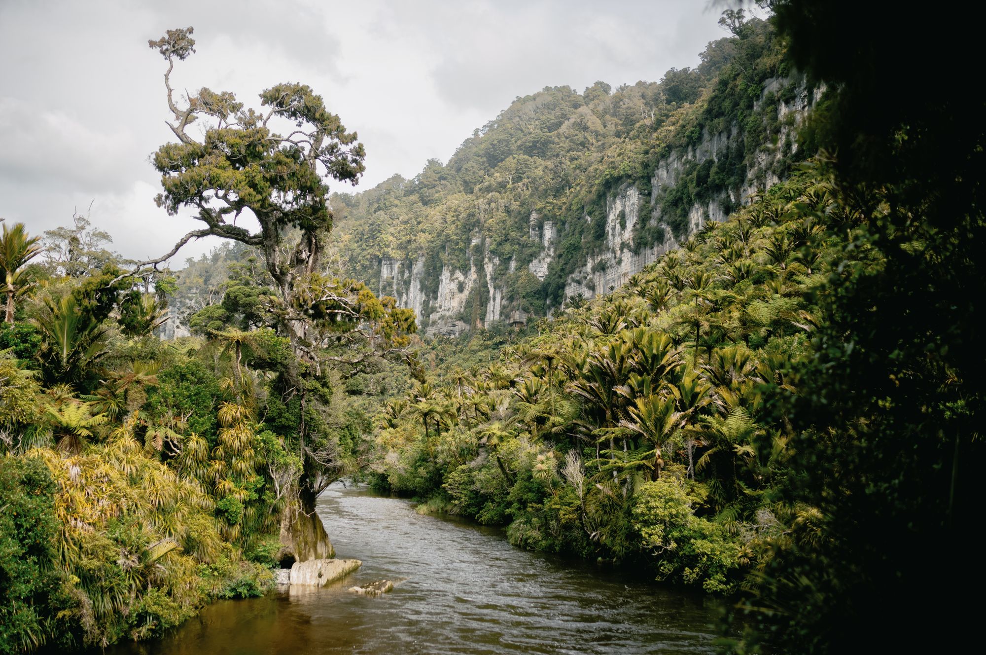 On the West Coast Wilderness Trail