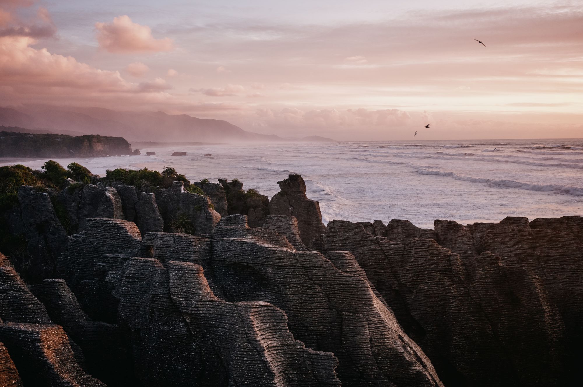 On the West Coast Wilderness Trail